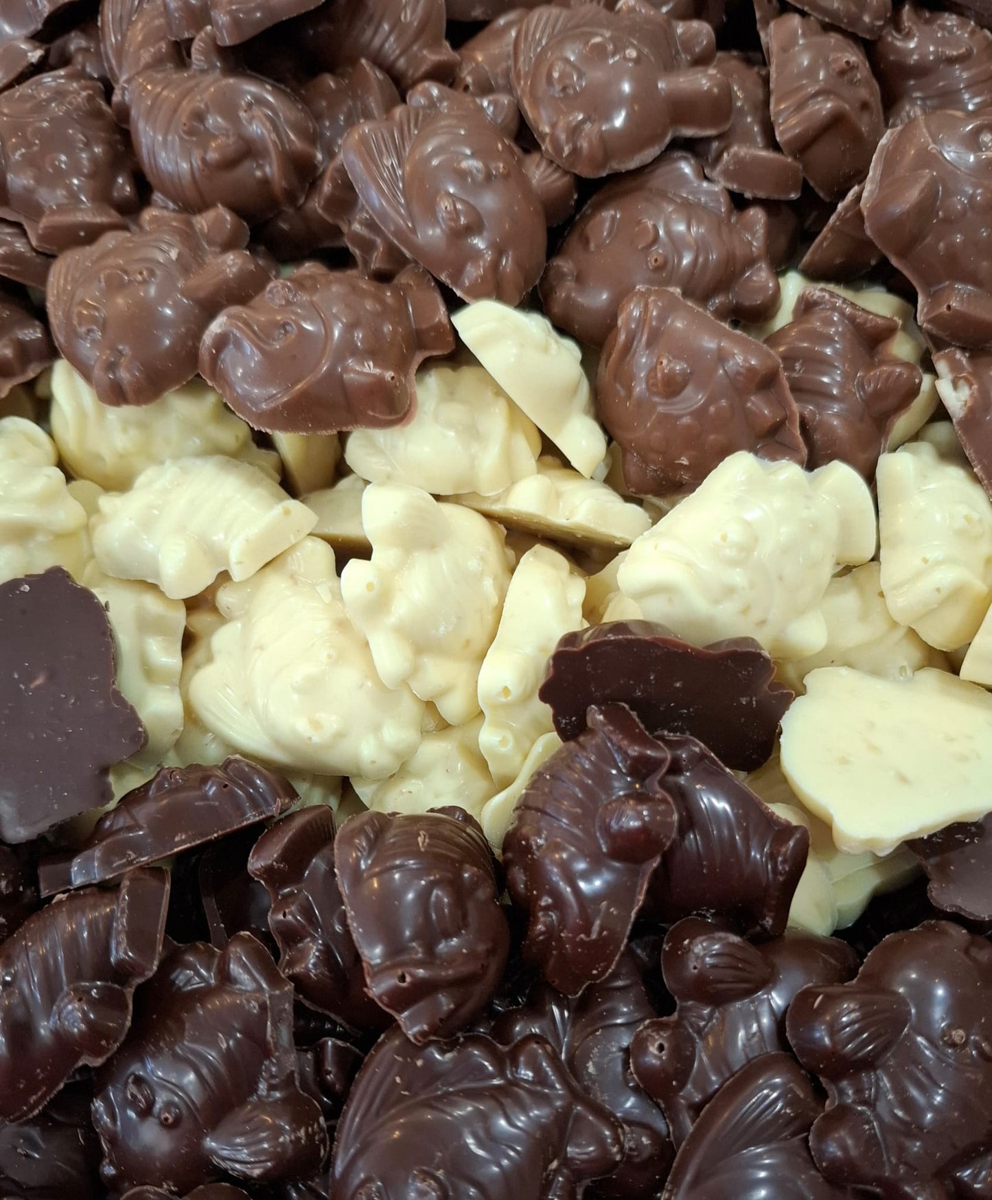 Chocolats de pâques